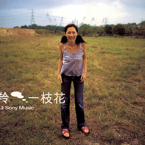 娇小的毛茸v茸的中国性
