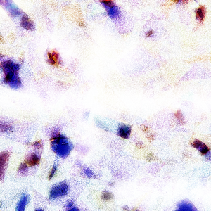 娇小的毛茸v茸的中国性
